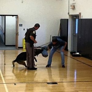 Meet your Posher, Travis